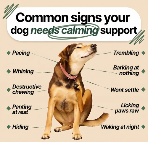 Calm, not sedated